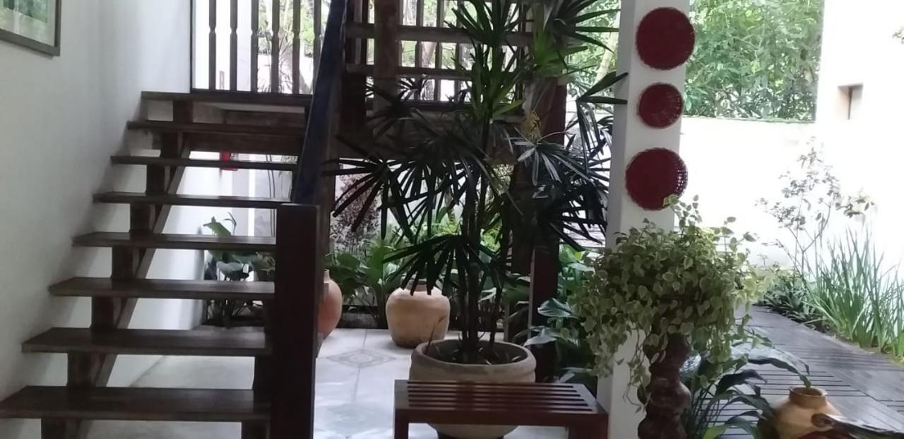 Pouso Frutos De Paraty Hotell Exteriör bild